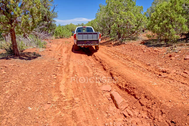 Un coche rojo en el desierto - foto de stock