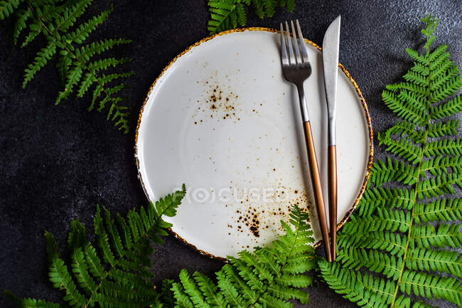 Rustic table and place setting with fern leaves — Stock Photo