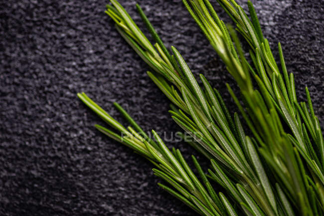 Close-up of fresh rosemary on a black background — Stock Photo