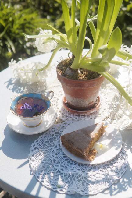 Tea and a slice of cake on a garden table in springtime, England, UK — Stock Photo
