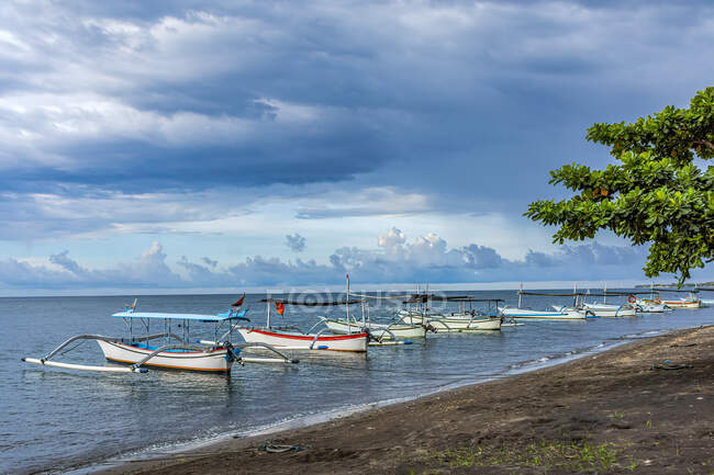 Jukungs balineses tradicionales anclados en la playa, Lovina, Bali, Indonesia - foto de stock