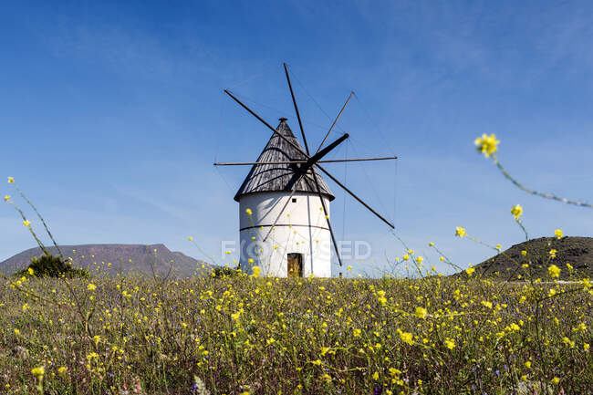 Windmühle Pozo de los Frailes, Almeria, Andalusien, Spanien — Stockfoto