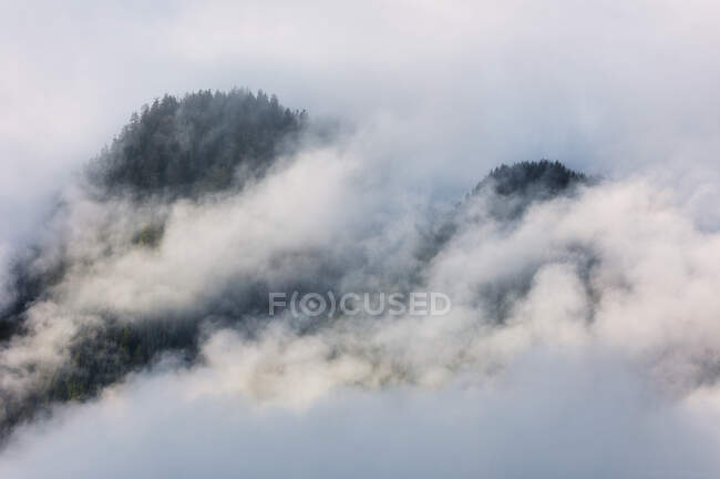 Nuvem coberta de montanhas, Dolomites, Tirol do Sul, Itália — Fotografia de Stock