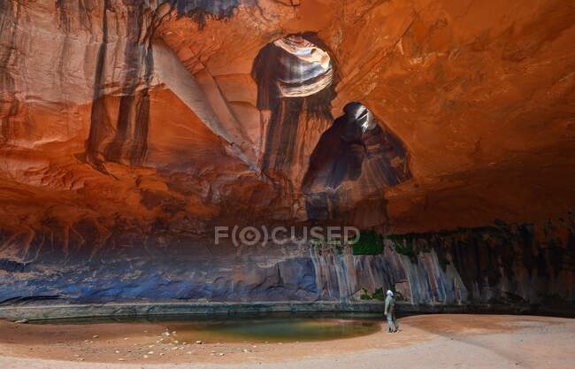 The Golden Cathedral, Glen Canyon National Recreation Area, Utah, USA — Foto stock