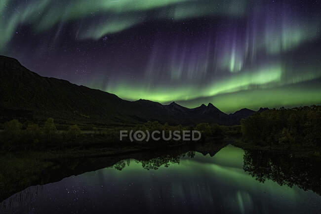 Luci settentrionali su Forfjord, Lofoten, Nordland, Norvegia — Foto stock