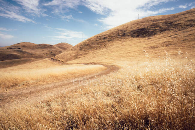 Schotterpiste durch grasbewachsene Hügel, Mission Peak Regional Preserve, Fremont, Kalifornien, USA — Stockfoto