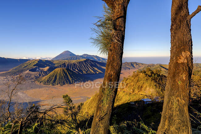 Mount Bromo bei Sonnenaufgang, Bromo Tengger Semeru Nationalpark, Ostjava Provinz Indonesien — Stockfoto