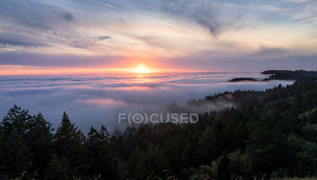 Закат над ковром облаков и лесом, Маунт Тамалпайс, округ Марин, Калифорния, США — стоковое фото