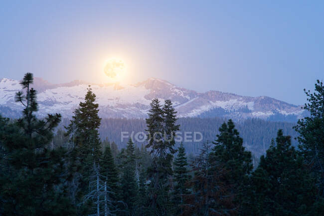 Vollmond über den Bergen, Sequoia National Park, Kalifornien, USA — Stockfoto