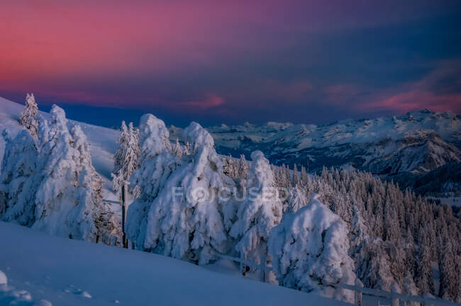 Monte Rigi nella neve, Svizzera — Foto stock