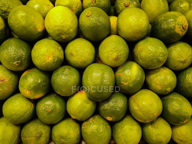 Limes vertes fraîches sur fond blanc — Photo de stock