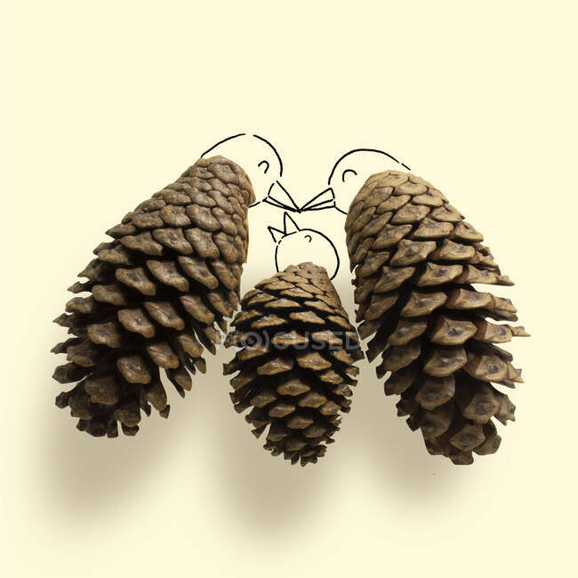 Conceptual bird family with pine cones — Stock Photo