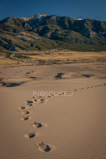 Empreintes de pas à travers les dunes sonores en face des montagnes de Sangre De Cristo, parc national des dunes de sable, Colorado, États-Unis — Photo de stock