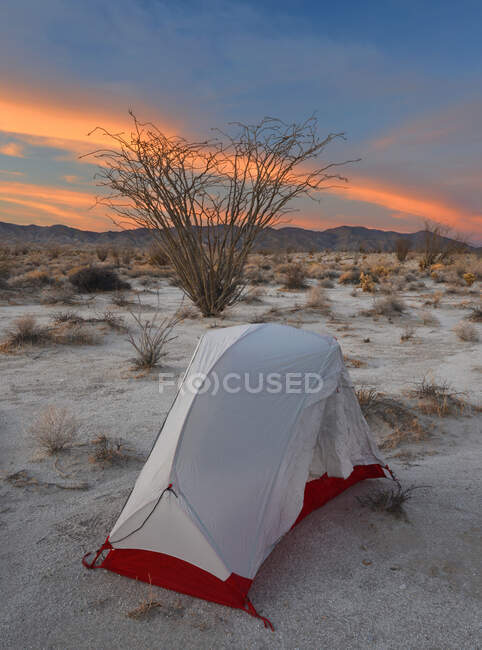 Tente dans le désert d'Anza Borrego State Park, Californie, États-Unis — Photo de stock