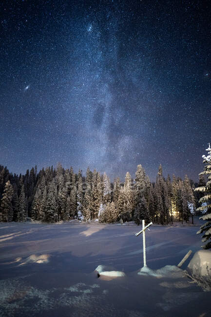 Sterne über schneebedecktem Alpenwald und Kreuz, Sequoia National Park, Kalifornien, USA — Stockfoto