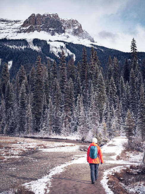Female hiker walking along an alpine trail, Banff National Park, Alberta, Canada — Stock Photo