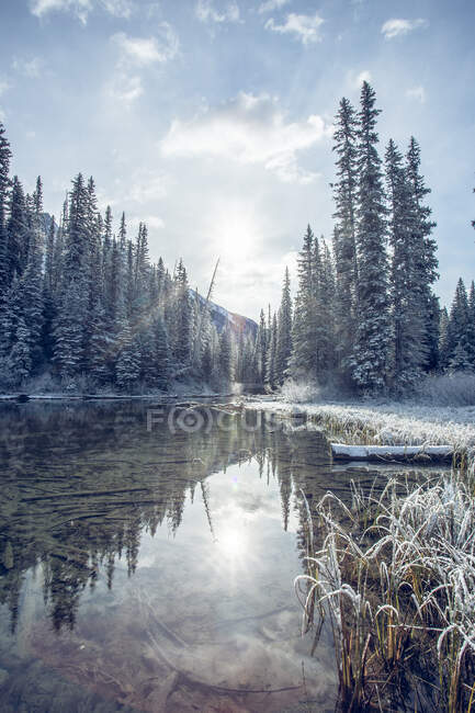 Paisaje invernal helado, Lago Esmeralda, Parque Nacional Banff, Alberta, Canadá - foto de stock