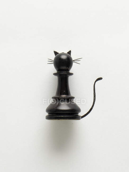Retrato conceptual de un gato - foto de stock