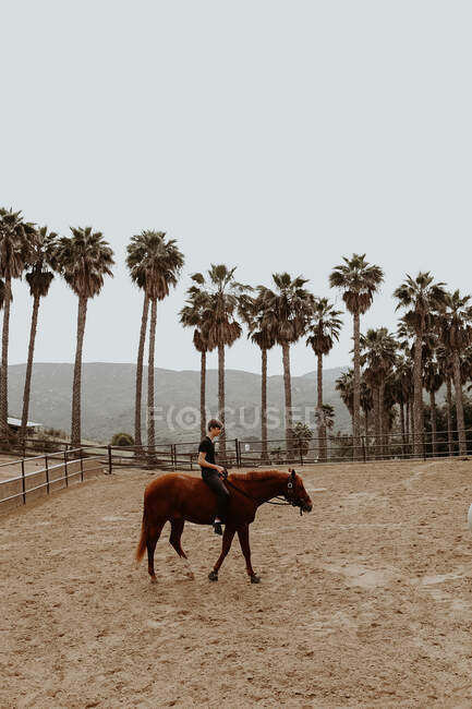 Niño montando a caballo, California, EE.UU. - foto de stock