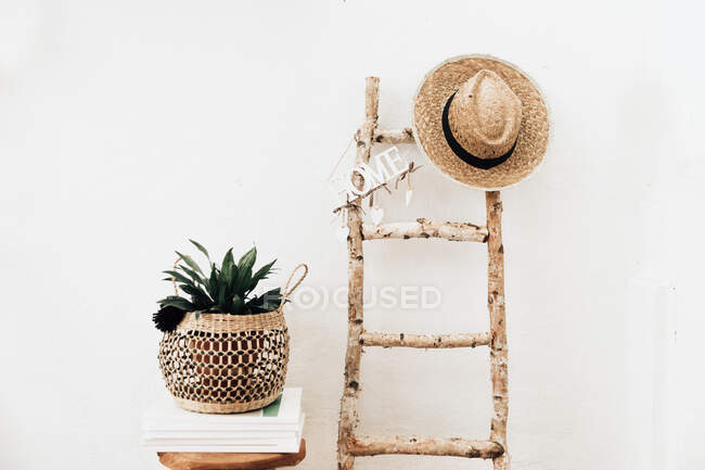 Planta em um suporte de macarrão em um banco de madeira ao lado de uma escada — Fotografia de Stock
