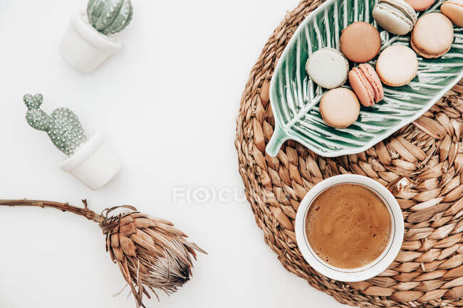 Macaroons on a leaf shaped dish, cactus decorations, dried protea flower and a cup of coffee on a white background — Stock Photo