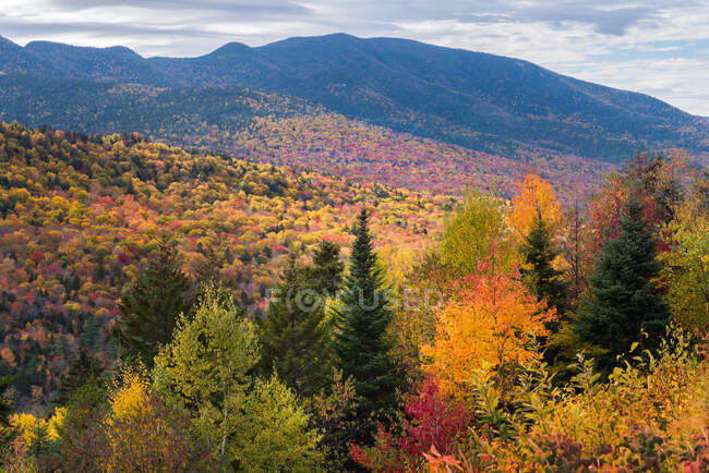 White Mountain National Forest, Lincoln, New Hampshire, EE.UU. - foto de stock