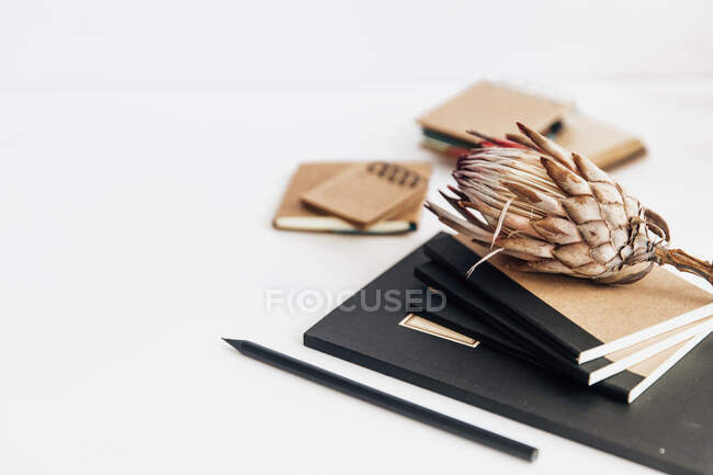 Сушеный цветок протея, блокноты и карандаш на столе — стоковое фото