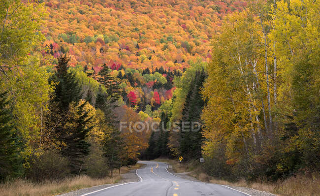 Route à travers la forêt d'automne, Oquossoc, Franklin County, Maine, États-Unis — Photo de stock