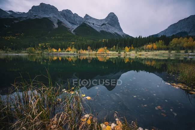 Quarry lake, Quarry Lake Park, Canmore, Alberta, Canada — Stock Photo
