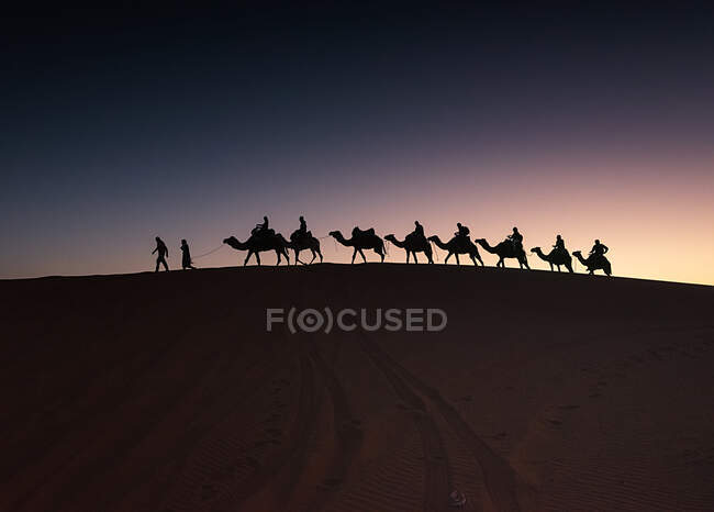 Silhouette d'un groupe de personnes chevauchant des chameaux dans le désert au coucher du soleil, Merzouga, province d'Errachidia, Maroc — Photo de stock