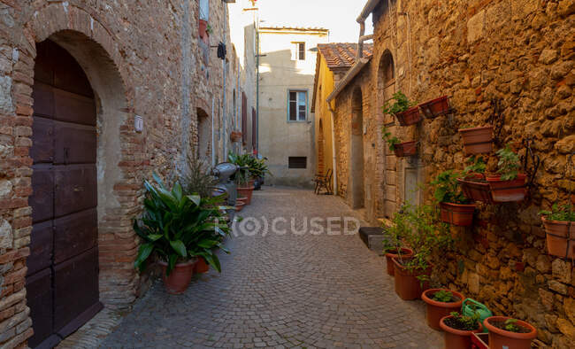 Bibbona, Livourne, Toscane, Italie — Photo de stock