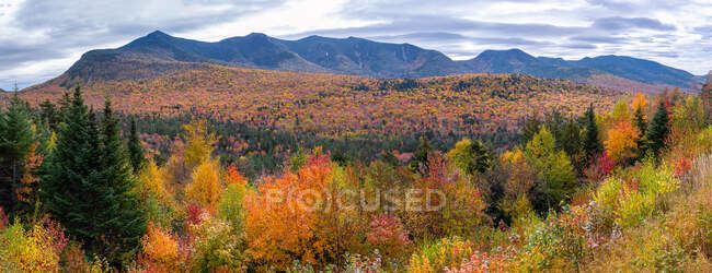 White Mountain National Forest, Lincoln, New Hampshire, EE.UU. - foto de stock