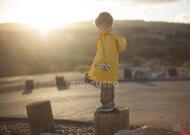 Garçon debout sur un poteau en bois, Californie, USA — Photo de stock