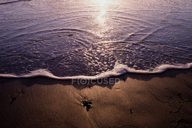 Primer plano de la playa, Laguna Beach, California, EE.UU. - foto de stock