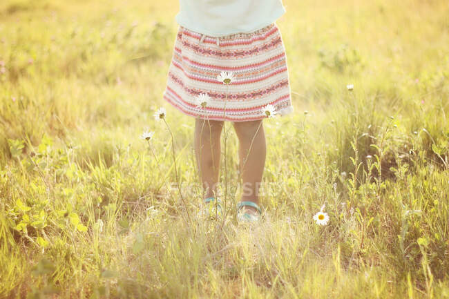 Mädchen steht im Sommer auf einer Wiese, Vereinigte Staaten — Stockfoto