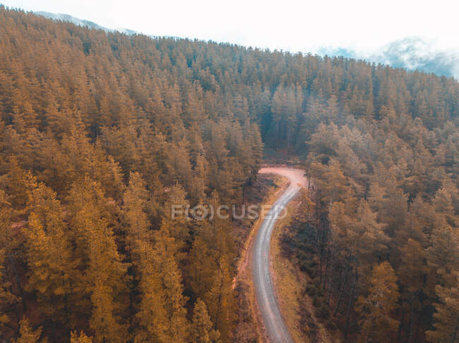 Vista aérea da estrada através da floresta — Fotografia de Stock