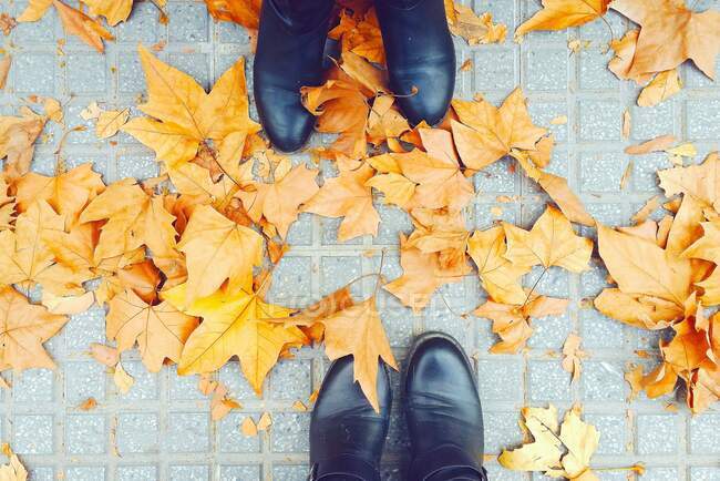 Pés de duas mulheres de pé em folhas de outono, Málaga, Espanha — Fotografia de Stock