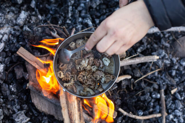 Femme Cuisine champignons sauvages sur un feu de camp — Photo de stock
