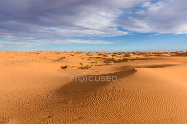 Dunas de areia no deserto do Saara, Marrocos — Fotografia de Stock