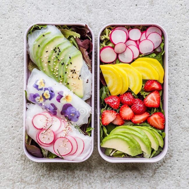 Zwei Lunchboxen gefüllt mit veganem Salat und Frühlingsrollen — Stockfoto