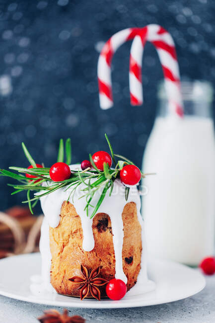 Torta natalizia tradizionale con mirtillo rosso — Foto stock