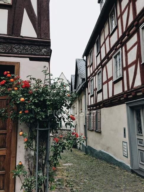 Case medievali a graticcio nel centro storico, Limburg an der Lahn, Assia, Germania — Foto stock