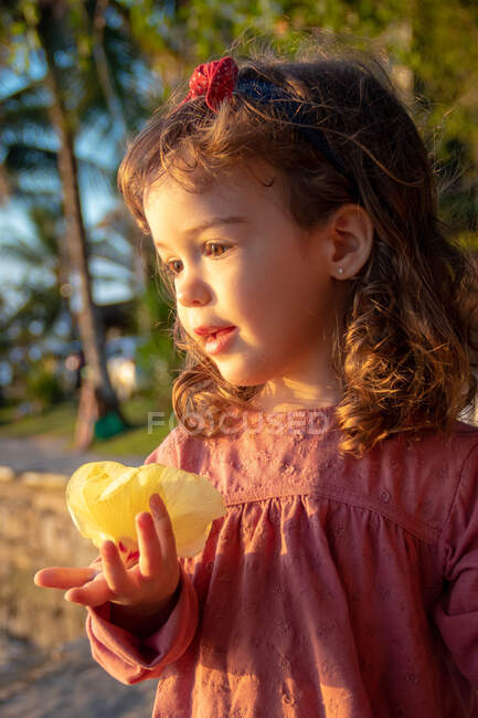 Porträt eines Mädchens mit einer Blume, Brasilien — Stockfoto