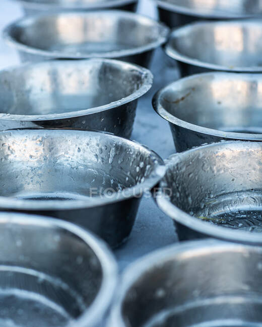 Gros plan d'une rangée de bols pour chiens recouverts de glace — Photo de stock