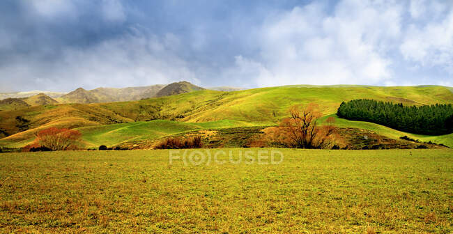 Катящийся пейзаж осенью, Новая Зеландия — стоковое фото