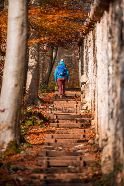 Жінка подорожує в осінньому лісі (Зальцбург, Австрія). — стокове фото