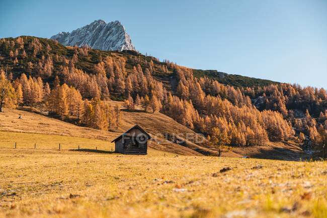 Каюта Вудена в австрийских Альпах недалеко от города Фильцмоос, Австрия — стоковое фото