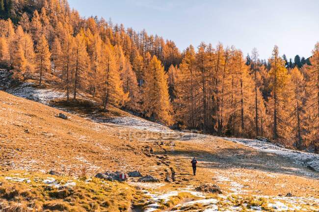 Junge Frau wandert in bunter Herbstlandschaft in den österreichischen Alpen — Stockfoto