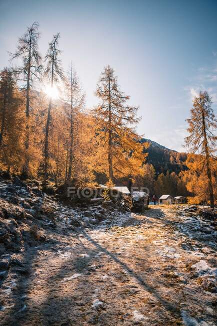 Женщина в походе в австрийских Альпах около Filzmoos осенью, Зальцбург, Австрия — стоковое фото