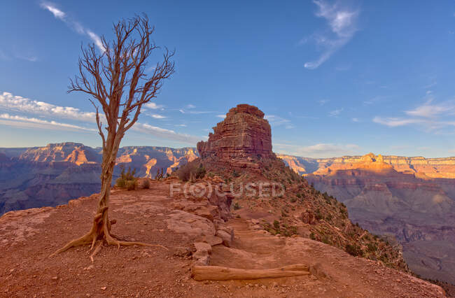 O'Neill Butte vu de Cedar Ridge, Grand Canyon, Arizona, USA — Photo de stock